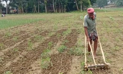 সার-কীটনাশকের উচ্চমূল্যে শঙ্কিত রাজবাড়ীর আগাম সবজি চাষীরা