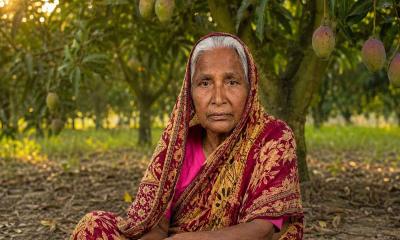 ২ বারের ইউপি সদস্য আমিনা খাতুন বয়সের ভারেও করছেন জীবন সংগ্রাম