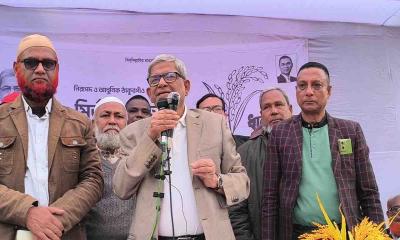 ১৫ বছর ভোট কেড়ে নিয়েছে হাসিনা ও প্রশাসন, এবার ভোট দিতে চাই: ফখরুল