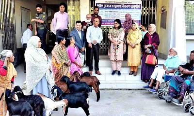 দিনাজপুর সদর ইউএনও শাহীন সুলতানা দিলেন হুইল চেয়ার ও ছাগল