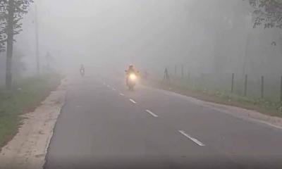 পঞ্চগড়ে ১২.৫ ডিগ্রি তাপমাত্রায় বৃষ্টির মতো ঝরছে কুয়াশা