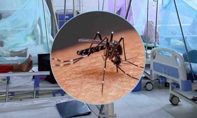 ডেঙ্গুতে একজনের মৃত্যু, হাসপাতালে ভর্তি ৬৩৩