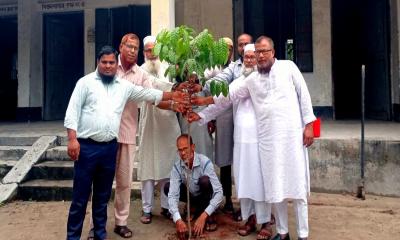 পরিবেশ রক্ষায় খানসামা ফাজিল মাদরাসায় বৃক্ষরোপণ কর্মসূচি অনুষ্ঠিত