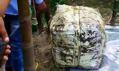 কিশোর রাকিব হত্যা মামলায় চাঞ্চল্যকর তথ্য: মরদেহ উদ্ধার করল পুলিশ