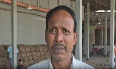 ঠাকুরগাঁওয়ে ২০ টাকার আলু বিক্রি ১৪ টাকায়: লোকসানের শঙ্কা
