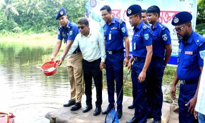 দিনাজপুর পুলিশ লাইন্স পুকুরে মাছের পোনা অবমুক্তকরণ