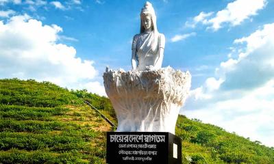 চায়ের রাজধানী শ্রীমঙ্গল: প্রাকৃতিক সৌন্দর্য ও পর্যটনের অনন্য রূপ