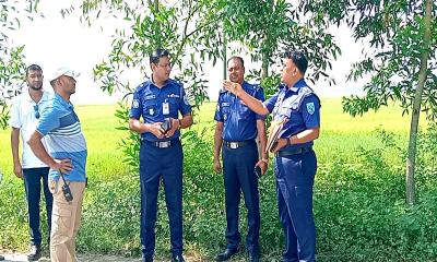 নবাবগঞ্জে সড়কে গাছ ফেলে ডাকাতি