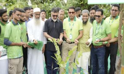 সবার সহযোগিতায় সবুজ ঢাকা গড়ে তোলা হবে