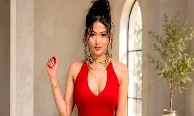 ভায়োলেন্স সিনেমা থেকে সরে দাঁড়ালেন অধরা