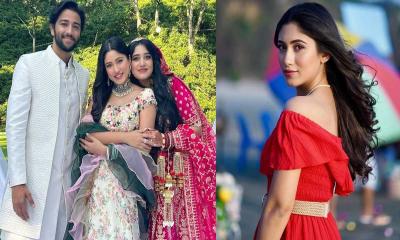 শেহতাজ-প্রীতমের ডিভোর্সে আমাকে নিয়ে কেন কথা, প্রশ্ন সাফার