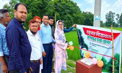 বজ্রপাতের ঝুঁকি কমাতে কৃষক সচেতনতা ও তালগাছ রোপণ