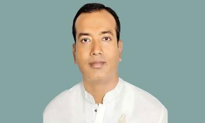 প্রধানমন্ত্রীর সঙ্গে বিদায়ী সাক্ষাতের পর ছাত্রদল সভাপতির আবেগঘন বার্তা