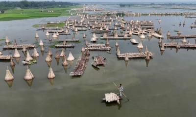 পাট ও মাছের জনপদ: রাজবাড়ীর লক্ষণদিয়া বিলের কথকতা