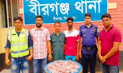 বীরগঞ্জে পুলিশের অভিযানে ১৭০০ পিস ট্যাপেন্টাডলসহ আটক ২