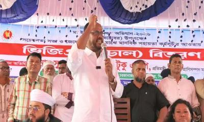 ইলিশ আমাদের জাতীয় সম্পদ, রক্ষার দায়িত্বও আমাদের সবার: প্রতিমন্ত্রী টুকু