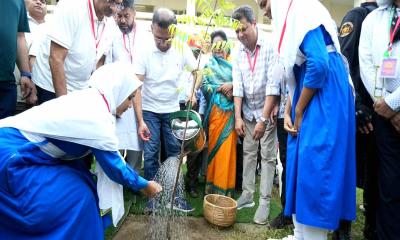 ফুলগাজীতে তারেক রহমানের বৃক্ষরোপণ কর্মসূচি পালন