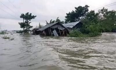 তিস্তায় পানির চাপে বাঁধ ভেঙে বিস্তীর্ণ এলাকা প্লাবিত