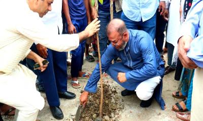 বরেন্দ্র অঞ্চলে বৃক্ষরোপণ ৫০ হাজার চারা রোপণের উদ্যোগ