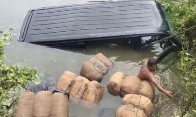 পুলিশের ধাওয়া খেয়ে গাঁজাবাহী মাইক্রোবাস পুকুরে, উদ্ধার ৯ বস্তা গাঁজা