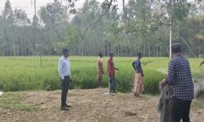 পাখি শিকারের জাল উদ্ধার করে পুড়িয়ে ধ্বংস করলেন নবাবগঞ্জের ইউএনও