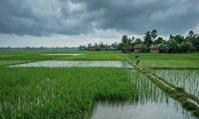 আগামী ৫ দিন দেশের বিভিন্ন এলাকায় ঝড়-বৃষ্টির সম্ভাবনা