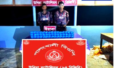 টেকনাফ সীমান্তে বিজিবির অভিযানে ২ লাখ পিস ইয়াবা জব্দ