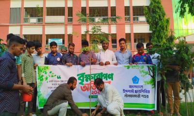 নীলফামারী সরকারি কলেজে ছাত্রশিবিরের বৃক্ষরোপণ ও চারা বিতরণ