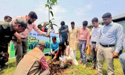 বীরগঞ্জে ৫ বছরে ২৫ কোটি বৃক্ষরোপণ কর্মসূচির উদ্বোধন