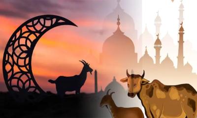 ঈদুল আজহা ২০২৬: ২৭ নাকি ২৮ মে? যা জানাল সৌদি আরব
