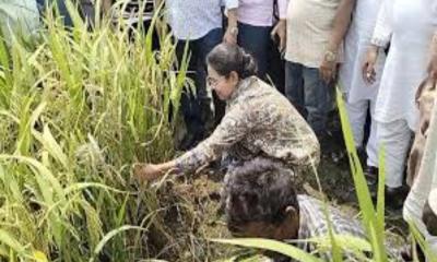 কৃষকদের সঙ্গে ধান কাটলেন ডা. প্রিয়াঙ্কা