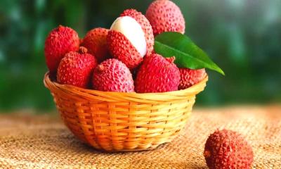 গলায় লিচুর বিচি আটকে শিশুর মৃত্যু