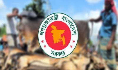 কোরবানির পশুর চামড়ার দাম নির্ধারণ করলো সরকার
