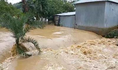 গারো পাহাড়ের ঢলে হালুয়াঘাটের নিম্নাঞ্চল প্লাবিত