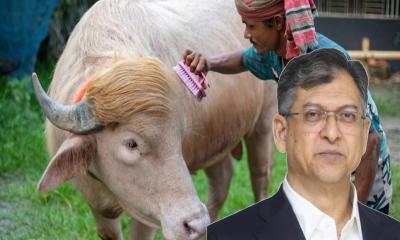 স্বরাষ্ট্রমন্ত্রীর হস্তক্ষেপ, কোরবানি হচ্ছে না ‘ডোনাল্ড ট্রাম্প’