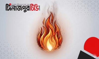 বিহারের হাসপাতালে ভয়াবহ আগুন, নিহত ৪