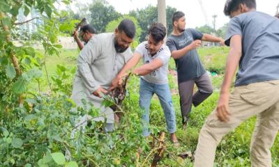 দুর্ঘটনা রোধে বীরগঞ্জে মহাসড়কের ঝোপঝাড় পরিষ্কার