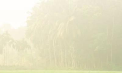 শীতের আগমনী বার্তা নিয়ে বদলে গেছে আবহাওয়ার ধরন
