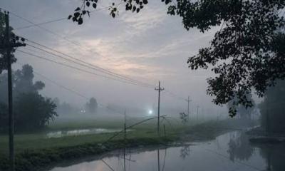 শরতেই সকালে হালকা কুয়াশা: প্রকৃতিতে শীতের বার্তা