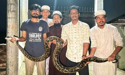 চট্টগ্রাম বিশ্ববিদ্যালয়ে ১৪ ফুটের বার্মিজ অজগর উদ্ধার