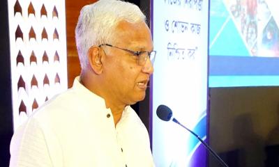 সরকারের প্রত্যাশা অনুযায়ী কাজ করছে জাতীয় বিশ্ববিদ্যালয়: মন্ত্রী