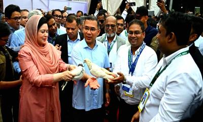 সেবার মানসিকতা না থাকলে চিকিৎসার মান উন্নয়ন সম্ভব নয়: প্রধানমন্ত্রী