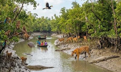বিশ্ব প্রাণী দিবস আজ