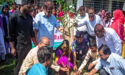 বীরগঞ্জে মডেল প্রেসক্লাবের উদ্যোগে বৃক্ষরোপণ ও চারা বিতরণ কর্মসূচি