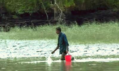 সুন্দরবন উপকূলে জোয়ারের জলে চাঁদনীমুখার জীবনসংগ্রাম