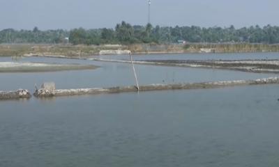 সাতক্ষীরার নদ-নদীতে বাড়ছে লবণাক্ততা, হুমকির মুখে কৃষি