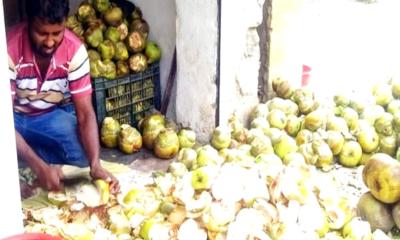 গরমে স্বস্তি ফেরায় কচি তালের শাঁস