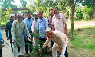দিনাজপুরে ৪৫ দিনব্যাপী ইমাম প্রশিক্ষণ ও বৃক্ষরোপণ কর্মসূচি শুরু