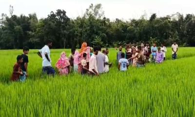 কৃষি জমির পাশ থেকে নারীর মরদেহ উদ্ধার