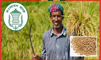 কৃষি খাতে খেলাপি ঋণ ছাড়াল ১৮ হাজার কোটি টাকা